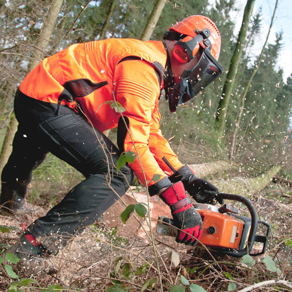 Oregon Waipoua Forsthelm